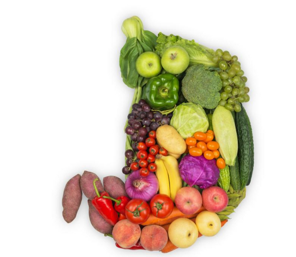 Why digestion is the key to achieving total health – Nutrii